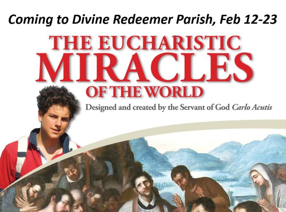 The Eucharistic Miracles of the World